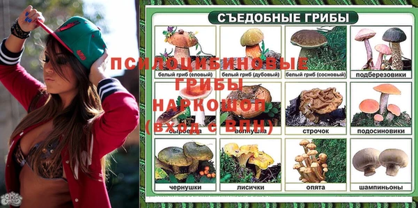 прущие грибы Богданович