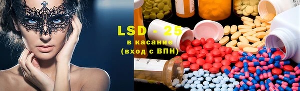 прущие грибы Богданович