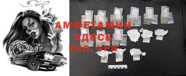 прущие грибы Богданович