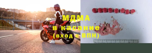 прущие грибы Богданович