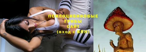 гашик Богородск