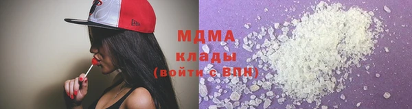 прущие грибы Богданович