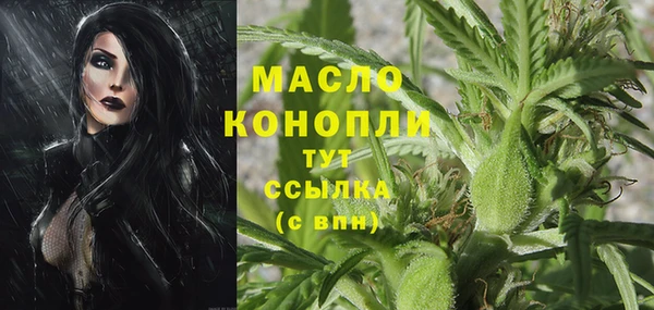 прущие грибы Богданович