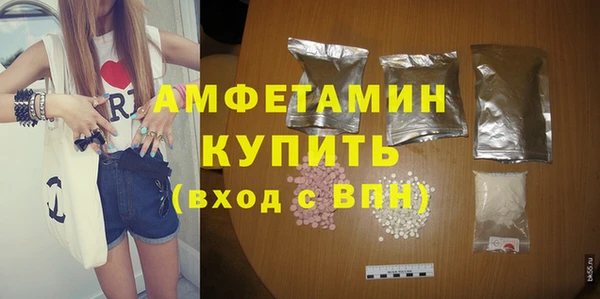 прущие грибы Богданович