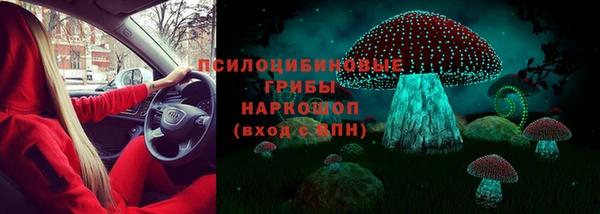 гашик Богородск
