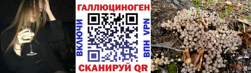 darknet состав  Ясногорск  Галлюциногенные грибы ЛСД 